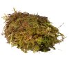 HabiStat Sphagnum Moss 12kg