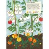 Chronicle Books Kniha aktivit se samolepkami my nature V zeleninové zahradě