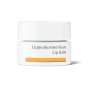 Dr. Hauschka Balzám na rty (Lip Balm) 4,5 ml