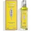 L`Occitane en Provence Toaletní voda Verbena - Citrus 100 ml