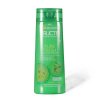 Garnier Posilující šampon na rychle se mastící vlasy Fructis (Pure Fresh Strengthening Shampoo)