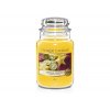 Yankee Candle Vonná svíčka Classic velká Tropical Starfruit 623 g