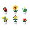Sluban Flowers M38-B1073 Květiny s očima malé Displej 6 ks