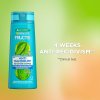 Garnier Očišťující šampon pro všechny typy vlasů s lupy Fructis Antidandruff (Re-Oxygen Shampoo)