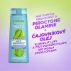 Garnier Očišťující šampon pro všechny typy vlasů s lupy Fructis Antidandruff (Re-Oxygen Shampoo)