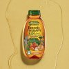 Garnier Šampon a kondicionér Botanic Therapy Apricot (Shampoo & Detangler) 400 ml