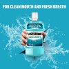 Listerine Ústní voda proti zubnímu povlaku Coolmint
