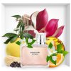 Calvin Klein Women - EDP