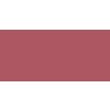L'Oréal Paris Dlouhotrvající rtěnka a lesk na rty 2v1 Infallible 24H Parisian Nudes 6 ml