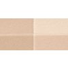Sensai Vícebarevný kompaktní pudr Cellular Performance Foundations (Pressed Powder) 8 g