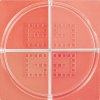 Givenchy Tvářenka Prisme Libre (Blush) 4 x 1,12 g