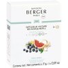 maison berger paris nahradni napln do difuzeru do auta fresh spirit car diffuser recharge 15000966130152