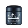Mizon Pleťový krém s filtrátem sekretu Afrického černého hlemýždě 90% (Black Snail All In One Cream) (Objem 75 ml)