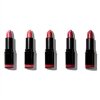 sada peti rtenek matte reds lipstick collection 5 x 3 2 g 1458006520190627223251