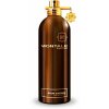 Montale Aoud Safran - EDP (Objem 100 ml)