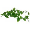 Lucky Reptile Jungle Vine Philo Vine cca 200 cm