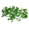 Lucky Reptile Jungle Vine Gape Leaf Vine cca 200 cm