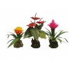 Lucky Reptile Jungle Plants kvetoucí Bromelie 3 květy - červená cca 40 cm