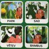 PARK