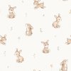 Rabbits In Meadow