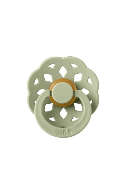 Bibs boheme sage pacifier ezgif.com webp to jpg converter