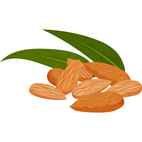 Mandle a jiné suché plody