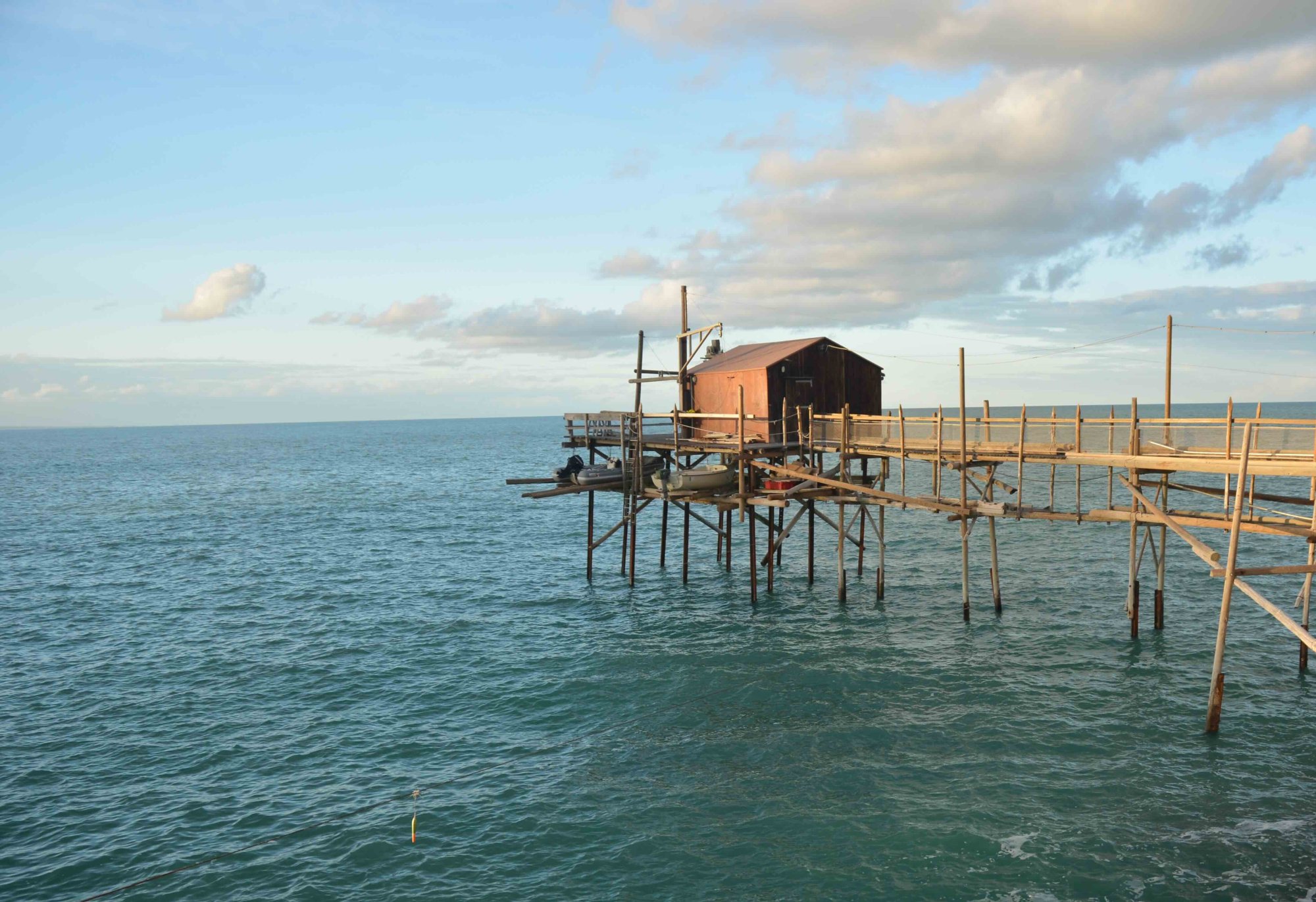 Původ našich olivový olejů