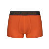 Guess boxerky f34p 2