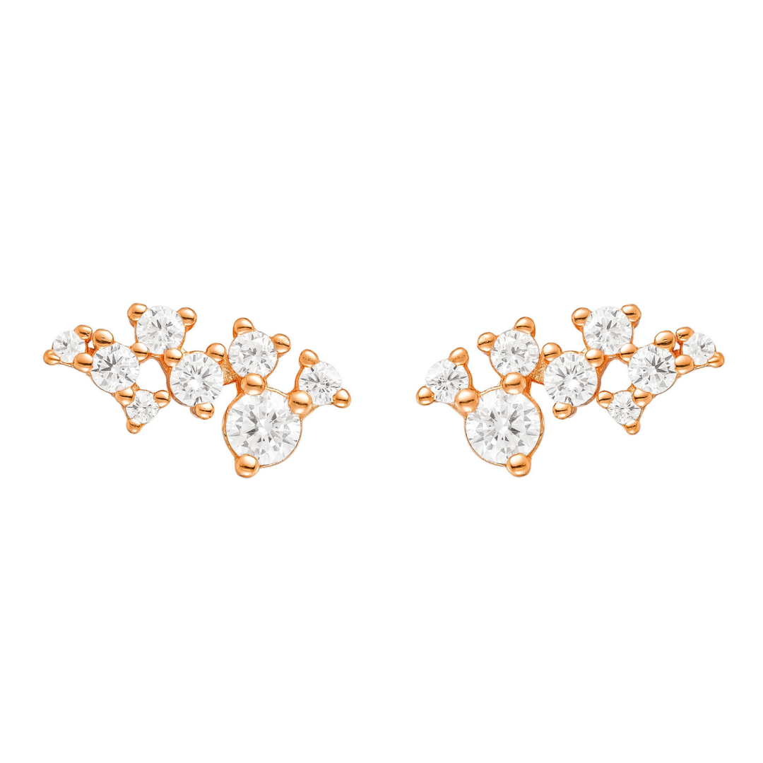 OLIVIE Stříbrné náušnice NĚŽNOST ROSE 8802 Ag 925; ≤2,0 g.