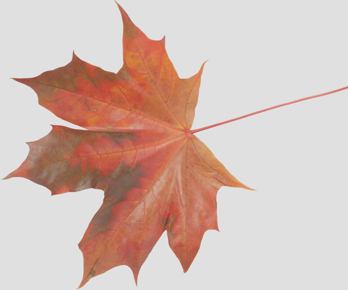 Aké šperky nosiť na jeseň? Výrazné náušnice aj jemné retiazky