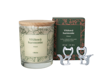 33406 9769 svicka visnova harmonie se stribrnymi nausnicemi kocka
