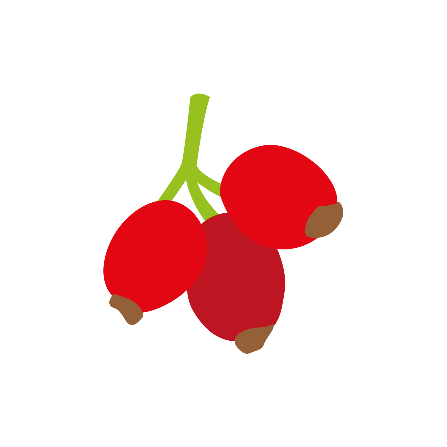 sipek