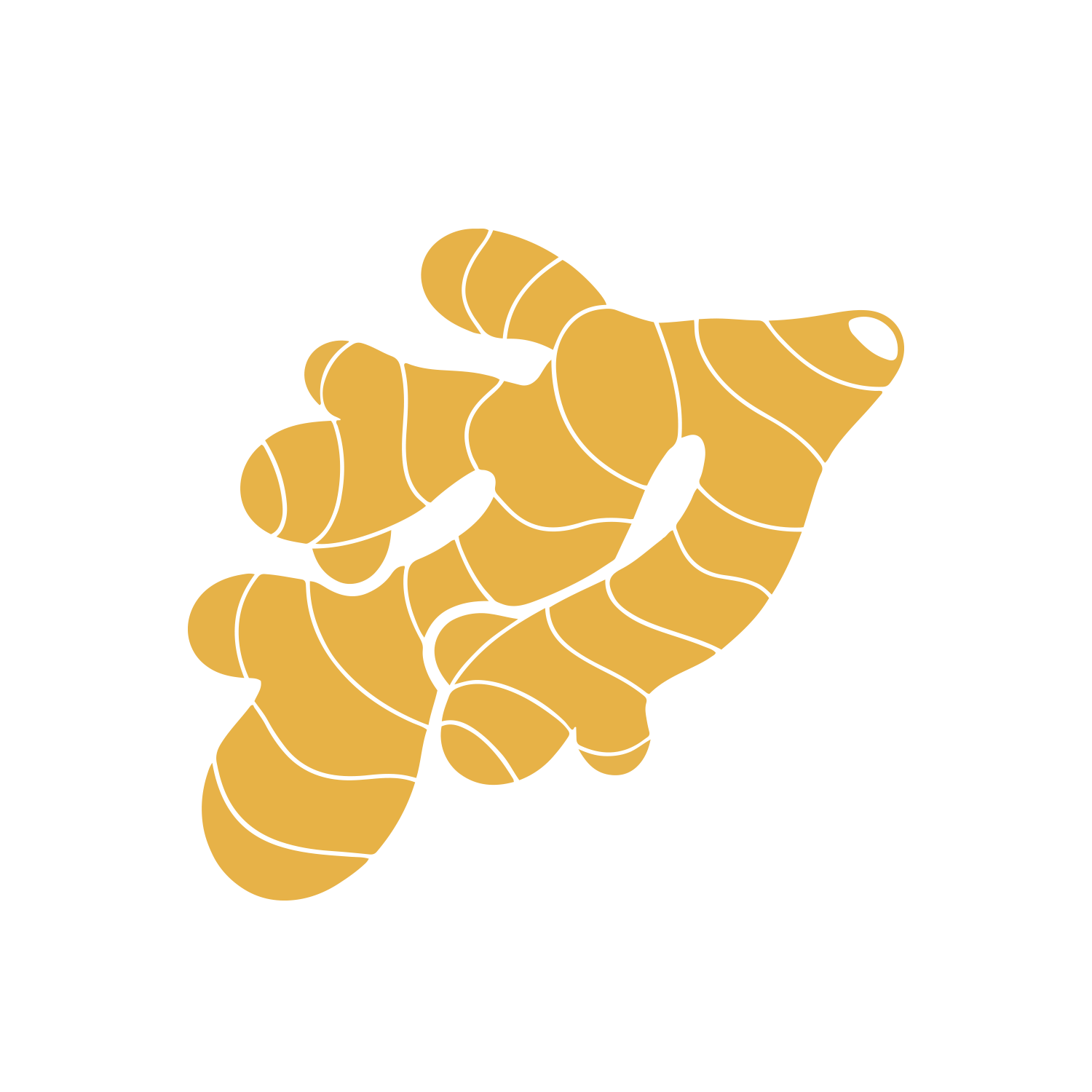 zazvor