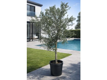 ChatGPT Image 10. 3. 2026, 15 11 32