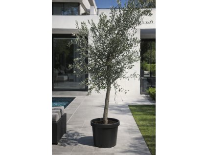 ChatGPT Image 10. 3. 2026, 15 12 46