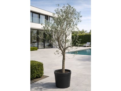 ChatGPT Image 10. 3. 2026, 15 14 08