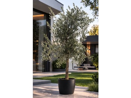 ChatGPT Image 10. 3. 2026, 15 18 18