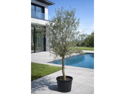 ChatGPT Image 10. 3. 2026, 15 19 50