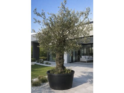 ChatGPT Image 10. 3. 2026, 15 24 46