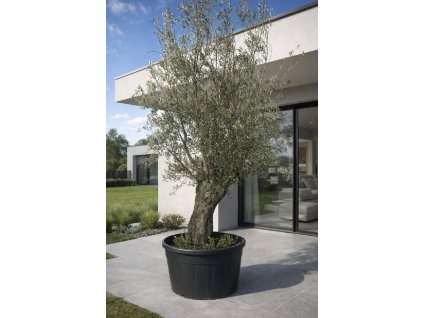 ChatGPT Image 10. 3. 2026, 15 26 14