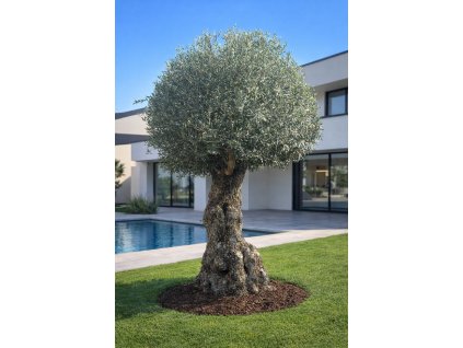 ChatGPT Image 11. 3. 2026, 11 24 22