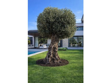 ChatGPT Image 11. 3. 2026, 11 26 31