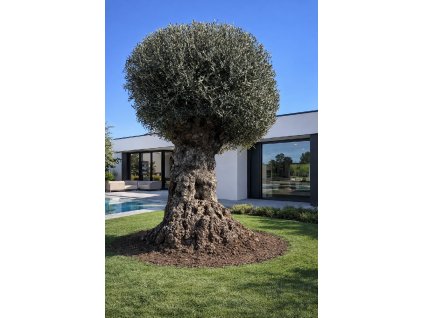 ChatGPT Image 11. 3. 2026, 11 28 45