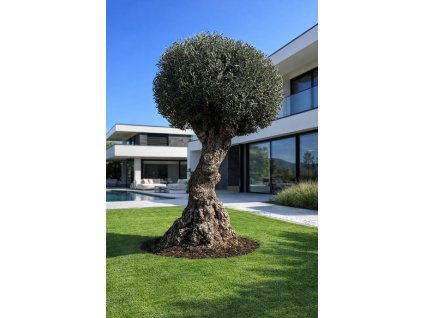 ChatGPT Image 11. 3. 2026, 11 29 43