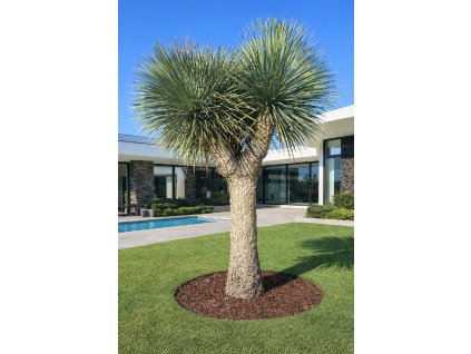 ChatGPT Image 10. 3. 2026, 15 49 06