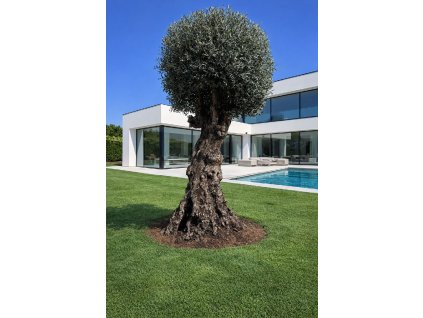 ChatGPT Image 11. 3. 2026, 12 08 59