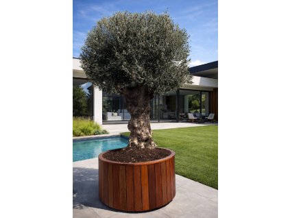 ChatGPT Image 11. 3. 2026, 13 54 06