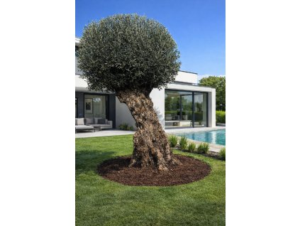 ChatGPT Image 11. 3. 2026, 14 01 30