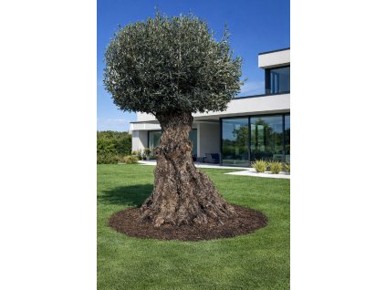 ChatGPT Image 11. 3. 2026, 14 06 01