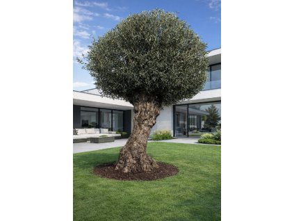 ChatGPT Image 11. 3. 2026, 14 08 09